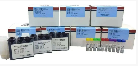 癌胚抗原化学发光检测试剂盒：肿瘤的体外诊断利器